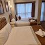 Горящие туры в отель Elysion Hotel - 4