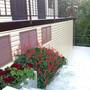 Горящие туры в отель Dikiy Bereg Guest House - 2