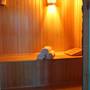 Горящие туры в отель Primorye Light Paradise Hotel - 5
