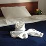 Горящие туры в отель Olginka Guest House - 4