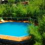 Горящие туры в отель Olginka Guest House - 1
