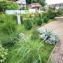 Горящие туры в отель Solnechniy Guest house - 3