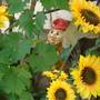 Горящие туры в отель Guest House U odesseya - 1
