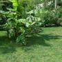 Горящие туры в отель Sezon Guest House - 6