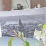Горящие туры в отель The White Swan Suites Beyoglu - 6