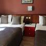 Горящие туры в отель Hotel Falcon - 4