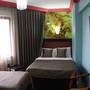 Горящие туры в отель Hotel Falcon - 4