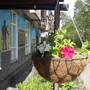 Горящие туры в отель Hostel Pushkin - 3