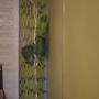 Горящие туры в отель Always at home - Apartments N2 at Klimasenko 11 block 7 - 3