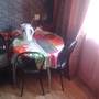 Горящие туры в отель Always at home - Apartments at Sovetskoy Armii 12 block 40 - 1