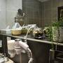 Горящие туры в отель City Hotel Sova - 1