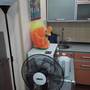 Горящие туры в отель Apartment Na Tukaya - 5
