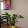 Горящие туры в отель Apartment On Akhmetshina - 6