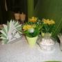 Горящие туры в отель Apartment Chulman 36/8/3 - 5