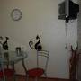 Горящие туры в отель Apartment LUKS on Moskovskiy Prospekt 138 - 3