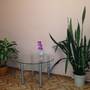Горящие туры в отель Apartments on Moskovskiy - 3