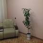 Горящие туры в отель Apartments on Moskovskiy - 5