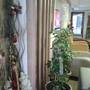 Горящие туры в отель Polanin Hotel - 4