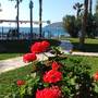 Горящие туры в отель Han Royal Hotels Villa Datca - 1