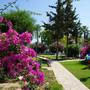 Горящие туры в отель Han Royal Hotels Villa Datca - 5