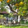 Горящие туры в отель Kontes Villa Apart - 4