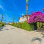 Горящие туры в отель Paradise Town Villas - Hazel Villa - 3
