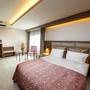 Горящие туры в отель Elit Asya Hotel - 6