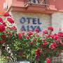 Горящие туры в отель Hotel Alya - 3