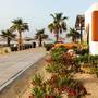 Горящие туры в отель Ayvalik Beach Hotel - 4