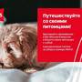 Горящие туры в отель ibis Москва Киевская - 1
