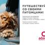 Горящие туры в отель Aparthotel Adagio Москва Киевская - 1