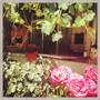 Горящие туры в отель Sahin Guest House - 4