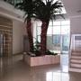 Горящие туры в отель Emerald Park Bonita - 1