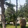 Горящие туры в отель Hotel Ankatra - 6