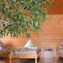 Горящие туры в отель Guest House Russky Dom - 4