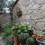 Горящие туры в отель Lunar Hotel Alacati - 6