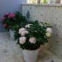 Горящие туры в отель Motto Wind Boutique Hotel - 6