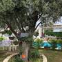 Горящие туры в отель Era Hotel Alacati - 1