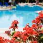 Горящие туры в отель Begonville Apart Hotel - 4