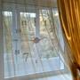 Горящие туры в отель Apartment Kronshtadt - 5