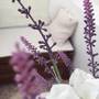 Горящие туры в отель Apartments Evgeniya - 6