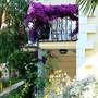 Горящие туры в отель Yel Holiday Resort - 5