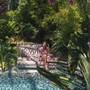 Горящие туры в отель Flamingo Hotel - 5