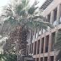 Горящие туры в отель Nazar Hotel, Altinkum Didim - 5