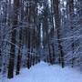 Горящие туры в отель Holiday Home na Berendeevskoy - 3