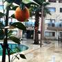 Горящие туры в отель Bodrum Oscar Hotel - 5