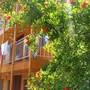 Горящие туры в отель Olympos Butik Otel - 3
