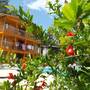 Горящие туры в отель Olympos Butik Otel - 1