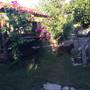 Горящие туры в отель Olympos Baykus Lodge - 3