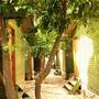 Горящие туры в отель Olympos Zeytin - 2